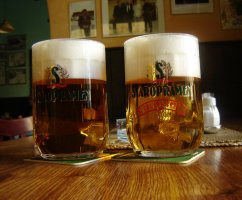 ТОП-15 пивных баров в Праге: адреса, цены и фото